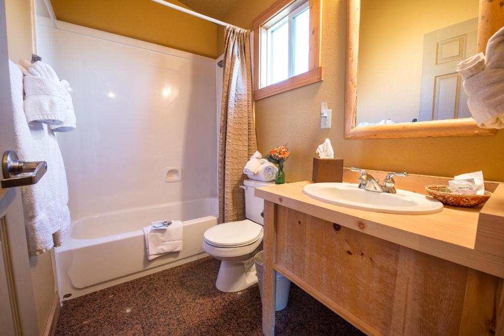 Deluxe King Suite interior